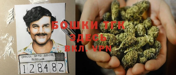 2c-b Горнозаводск