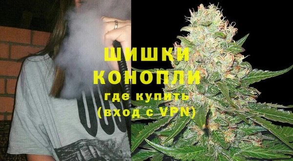 прущие крисы Горняк